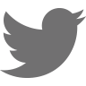 X(twitter)